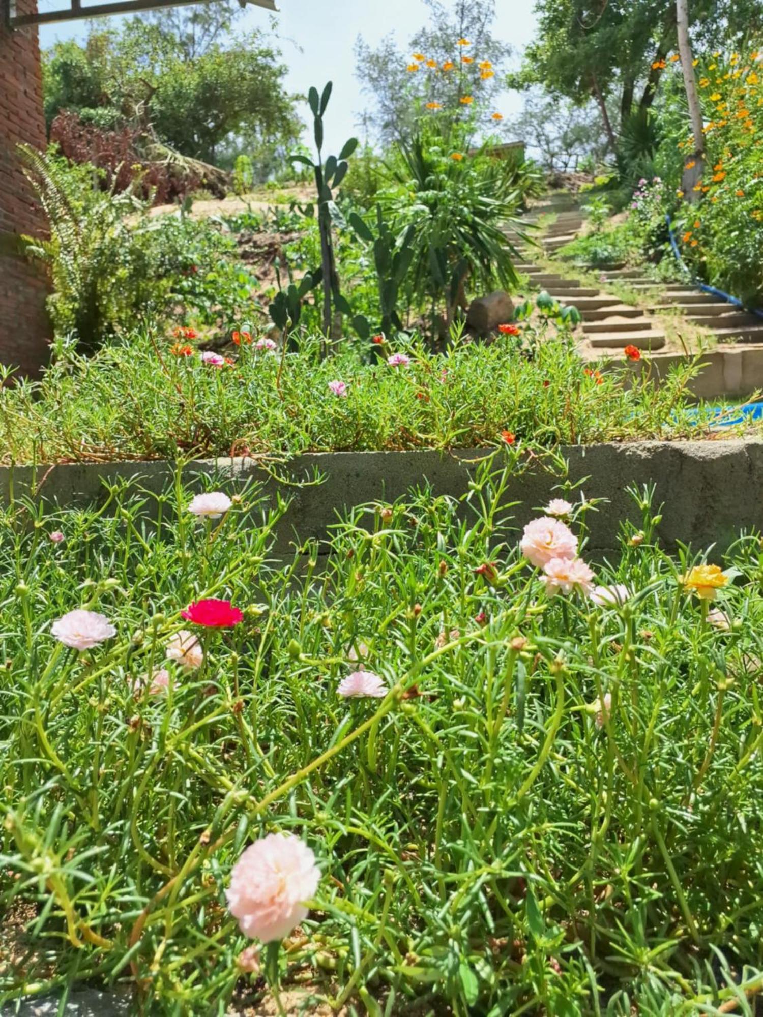 Homestay Dat Phu Tuy Hoa Exteriér fotografie